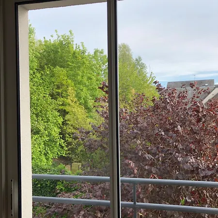 Maison De Centre-ville Au Calme Avec Jardin Et Parkings *