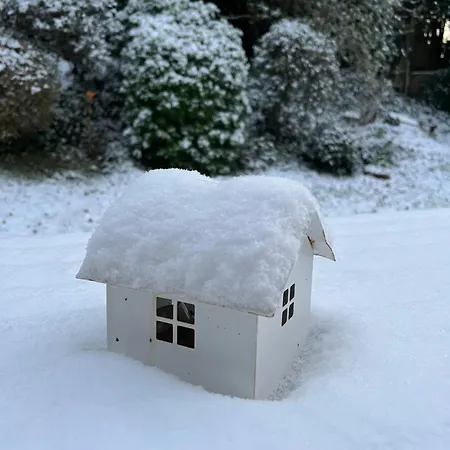 Maison De Centre-ville Au Calme Avec Jardin Et Parkings *