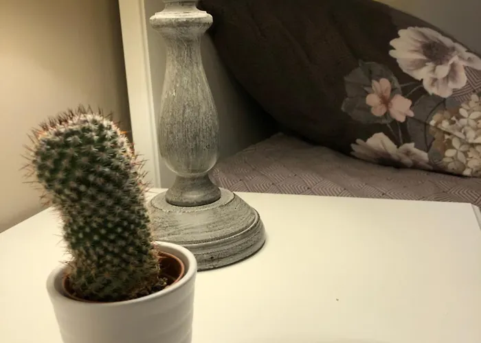 Maison De Centre-ville Au Calme Avec Jardin Et Parkings Feriehus