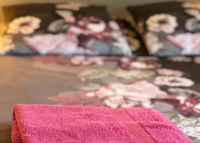 Maison De Centre-ville Au Calme Avec Jardin Et Parkings 펜션 *